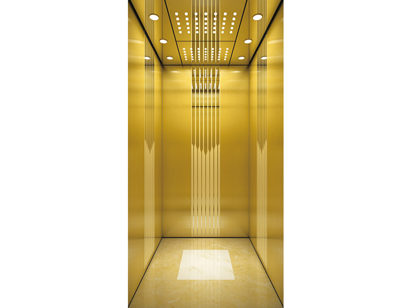  Passenger Elevator with Gold Decoration